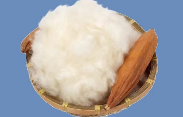 Kapok Textile Materials